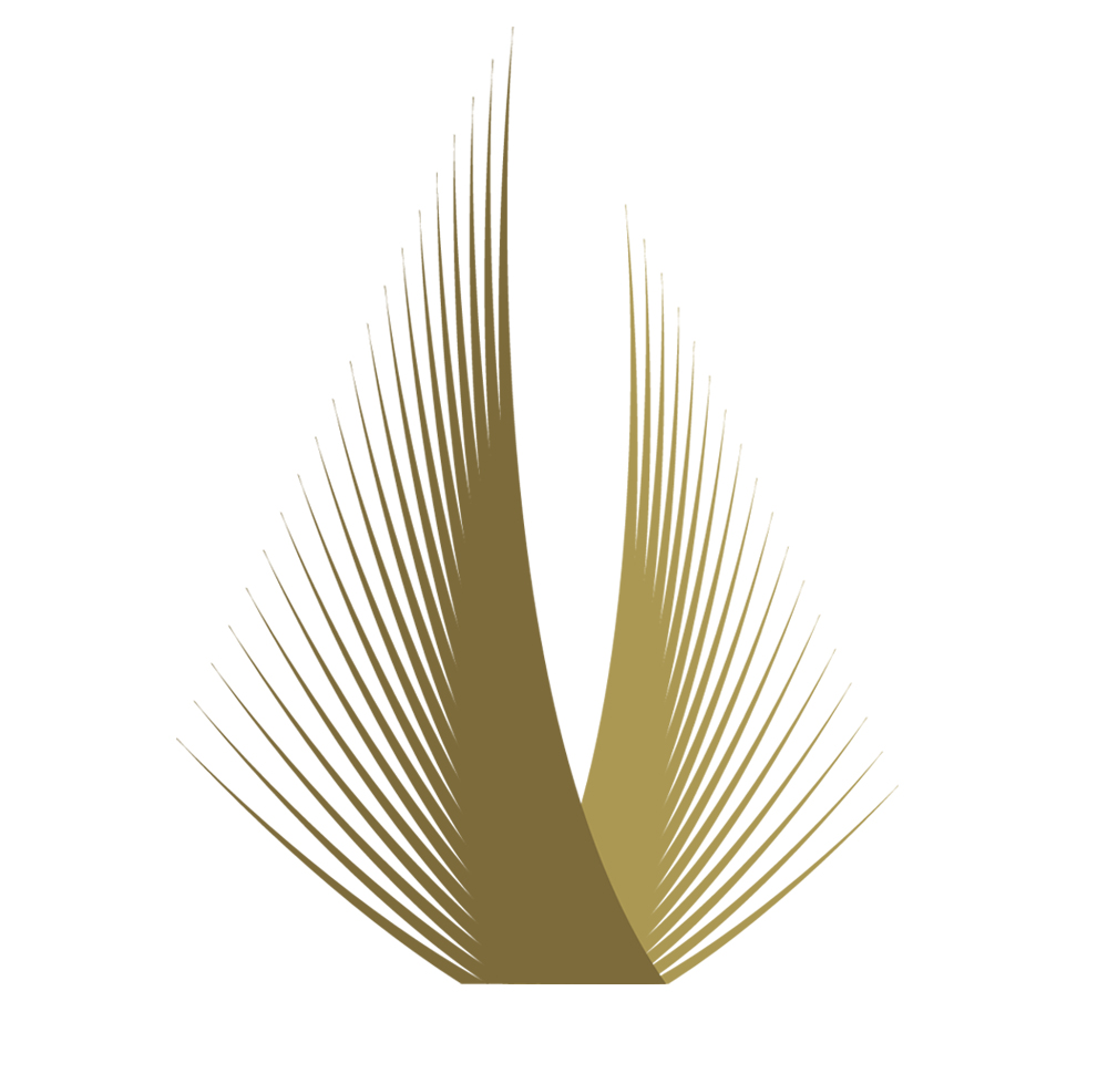 めもりあるグループホールディングス株式会社のロゴ